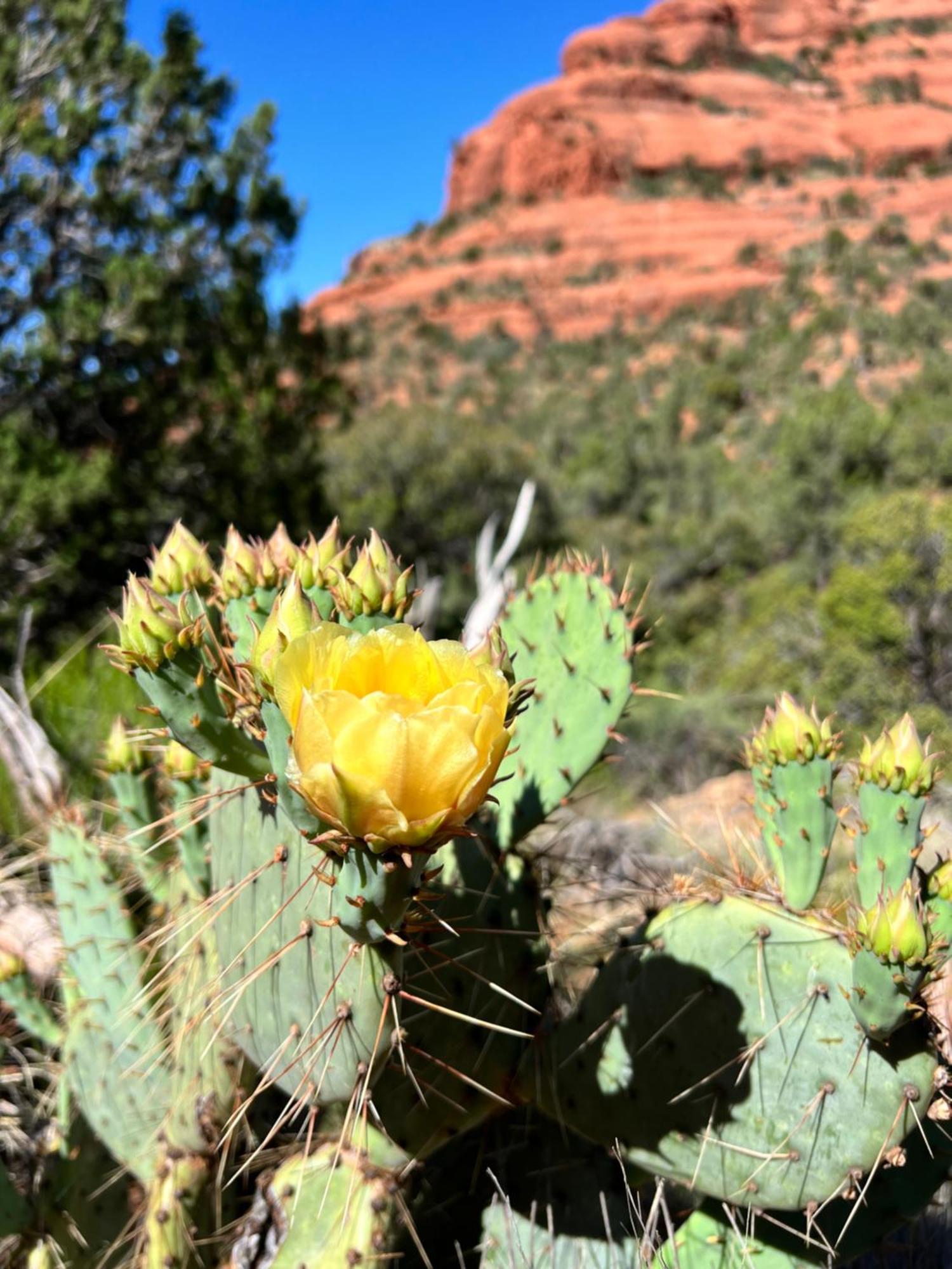 Crimson Ranch- 2 Night Minimum Private Ensuite Bathroom Private Entrance Sedona Exterior foto