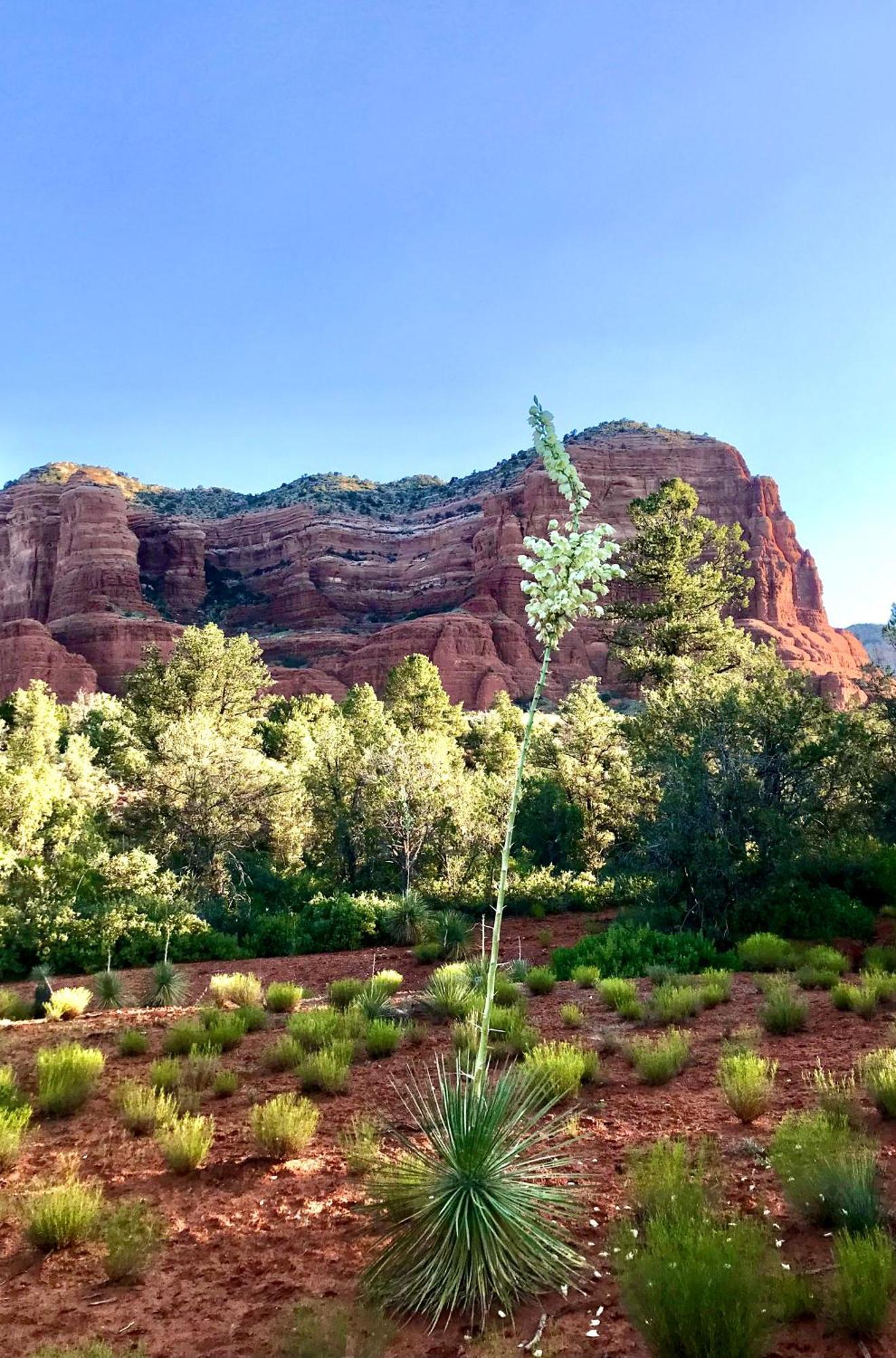 Crimson Ranch- 2 Night Minimum Private Ensuite Bathroom Private Entrance Sedona Exterior foto